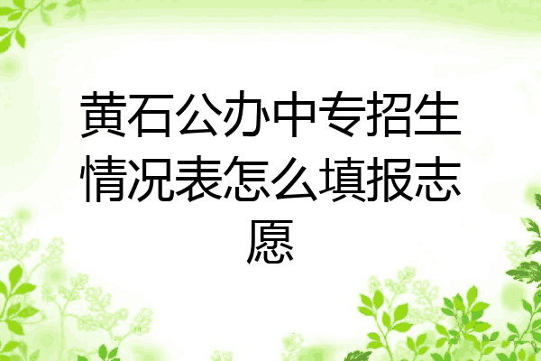 黄石公办中专招生情况表怎么填报志愿