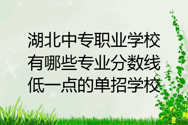 湖北中专职业学校有哪些专业分数线低一点的单招学校