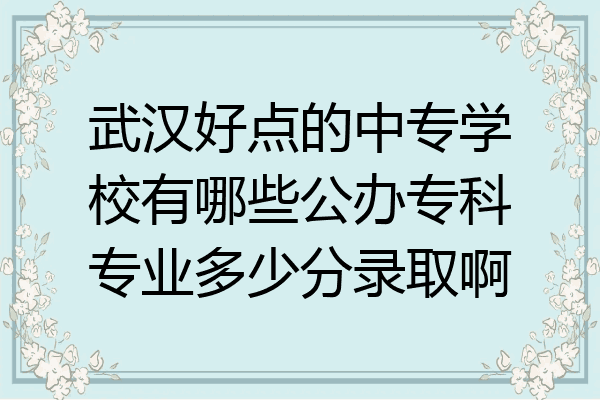 武汉好点的中专学校有哪些公办专科专业多少分录取啊