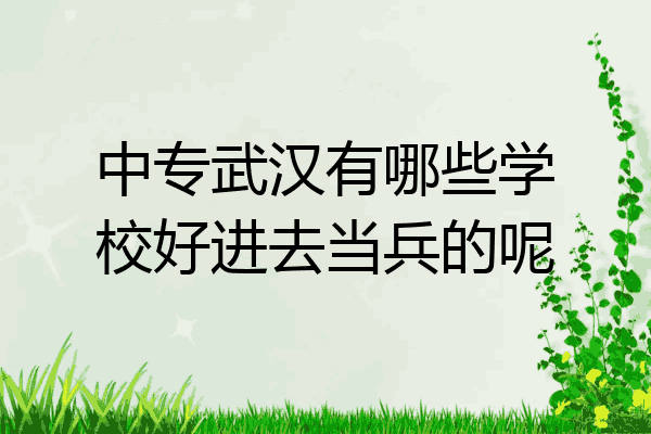 中专武汉有哪些学校好进去当兵的呢
