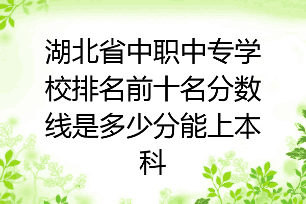湖北省中职中专学校排名前十名分数线是多少分能上本科