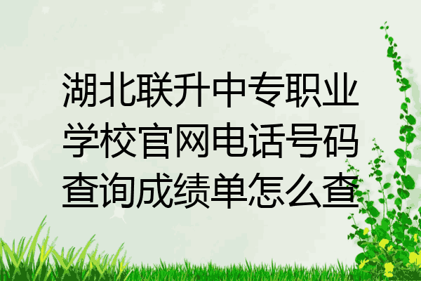 湖北联升中专职业学校官网电话号码查询成绩单怎么查