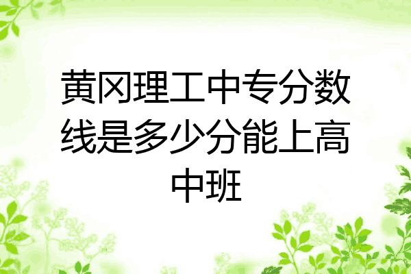 黄冈理工中专分数线是多少分能上高中班