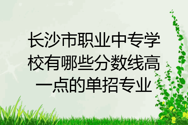 长沙市职业中专学校有哪些分数线高一点的单招专业