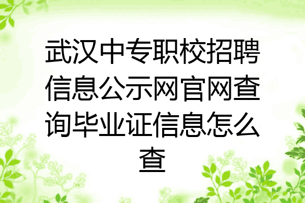 武汉中专职校招聘信息公示网官网查询毕业证信息怎么查