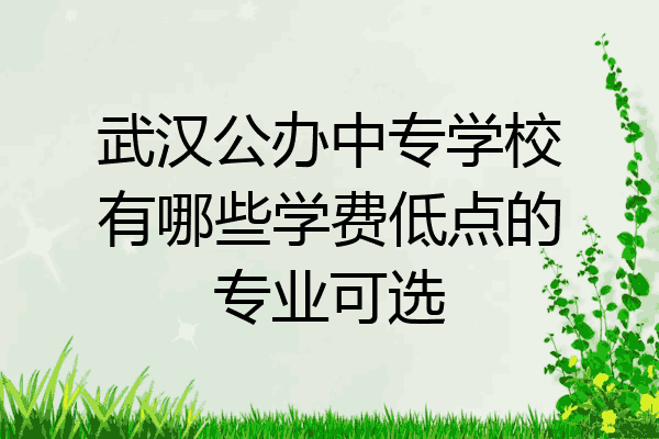武汉公办中专学校有哪些学费低点的专业可选