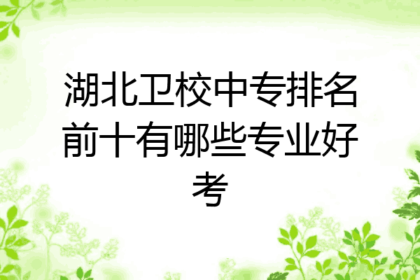 湖北卫校中专排名前十有哪些专业好考