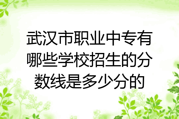 武汉市职业中专有哪些学校招生的分数线是多少分的