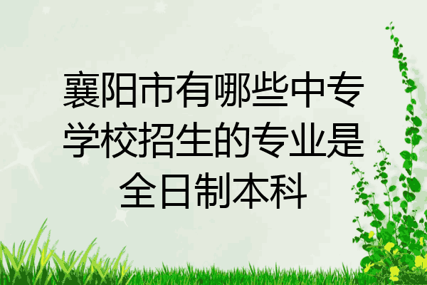 襄阳市有哪些中专学校招生的专业是全日制本科