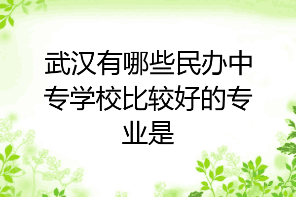 武汉有哪些民办中专学校比较好的专业是