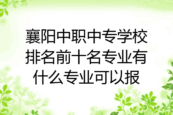 襄阳中职中专学校排名前十名专业有什么专业可以报