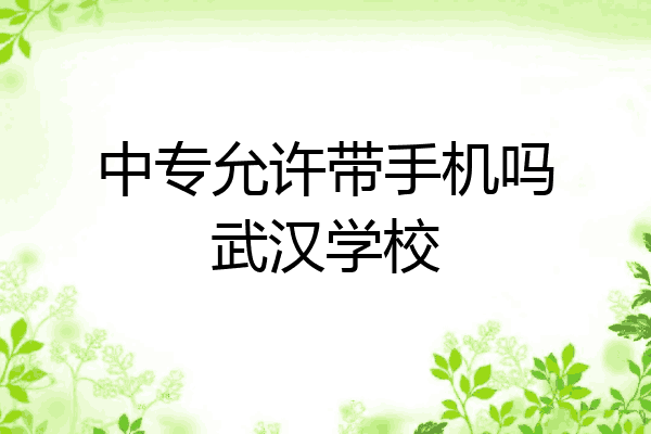 中专允许带手机吗武汉学校