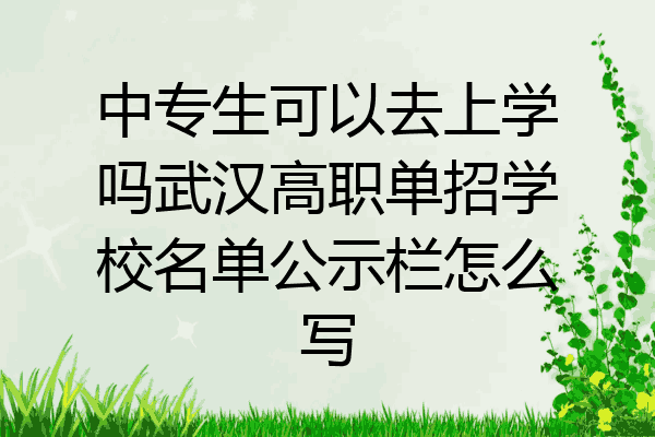 中专生可以去上学吗武汉高职单招学校名单公示栏怎么写