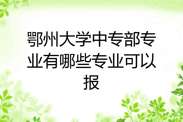 鄂州大学中专部专业有哪些专业可以报
