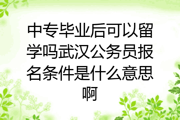 中专毕业后可以留学吗武汉公务员报名条件是什么意思啊