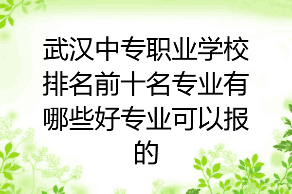 武汉中专职业学校排名前十名专业有哪些好专业可以报的