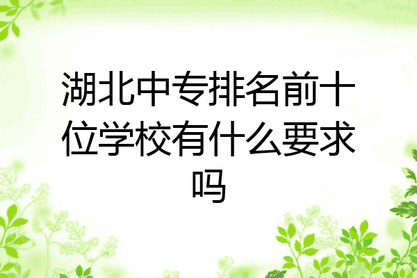 湖北中专排名前十位学校有什么要求吗