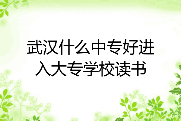 武汉什么中专好进入大专学校读书