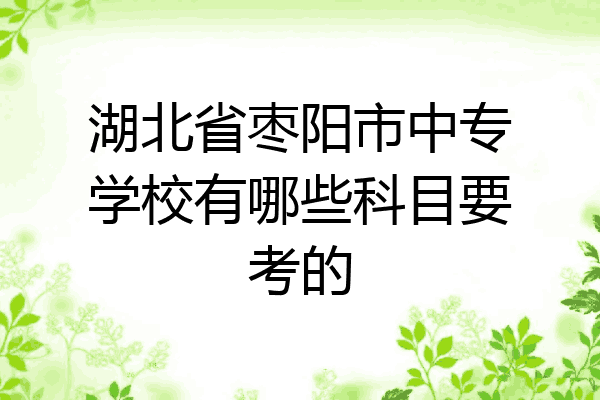 湖北省枣阳市中专学校有哪些科目要考的