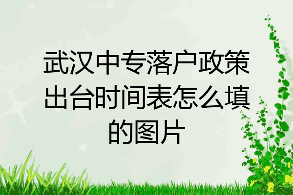 武汉中专落户政策出台时间表怎么填的图片