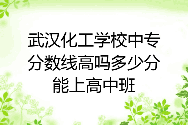 武汉化工学校中专分数线高吗多少分能上高中班