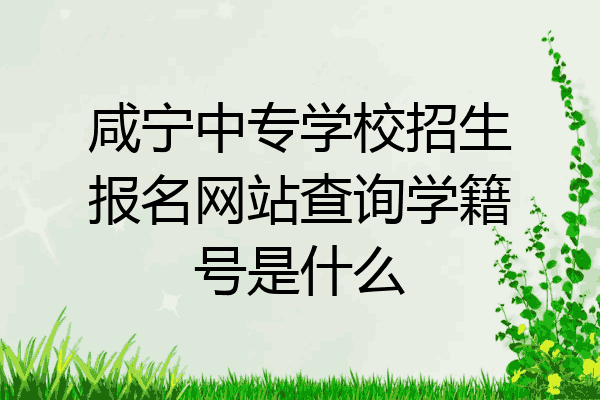咸宁中专学校招生报名网站查询学籍号是什么