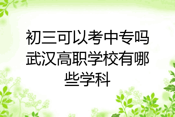 初三可以考中专吗武汉高职学校有哪些学科