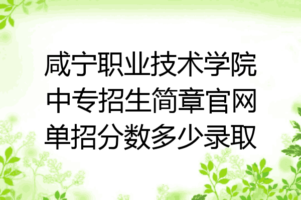 咸宁职业技术学院中专招生简章官网单招分数多少录取