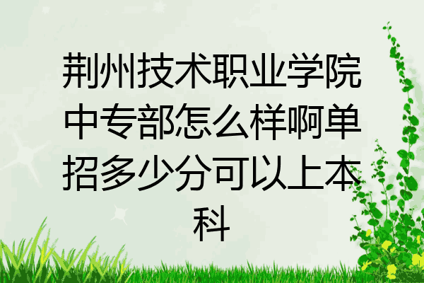 荆州技术职业学院中专部怎么样啊单招多少分可以上本科