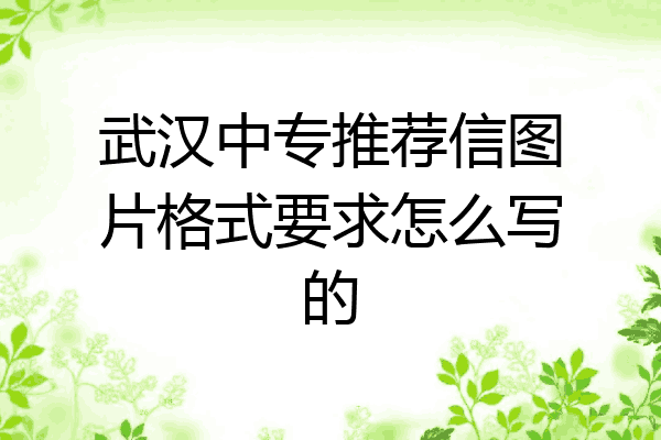 武汉中专推荐信图片格式要求怎么写的