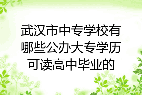 武汉市中专学校有哪些公办大专学历可读高中毕业的