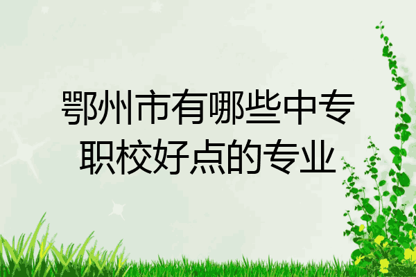 鄂州市有哪些中专职校好点的专业