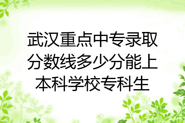 武汉重点中专录取分数线多少分能上本科学校专科生