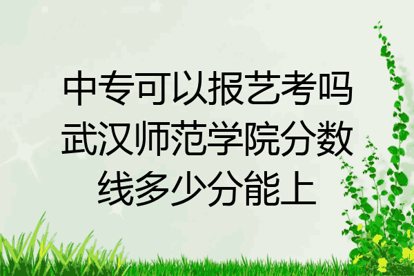 中专可以报艺考吗武汉师范学院分数线多少分能上