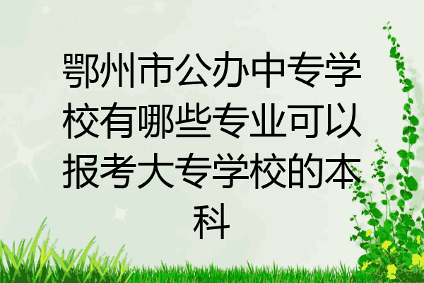 鄂州市公办中专学校有哪些专业可以报考大专学校的本科