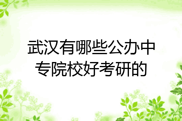 武汉有哪些公办中专院校好考研的