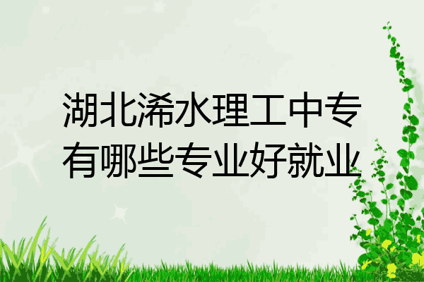 湖北浠水理工中专有哪些专业好就业
