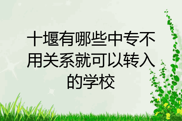 十堰有哪些中专不用关系就可以转入的学校