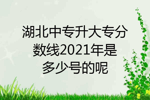 湖北中专升大专分数线2021年是多少号的呢