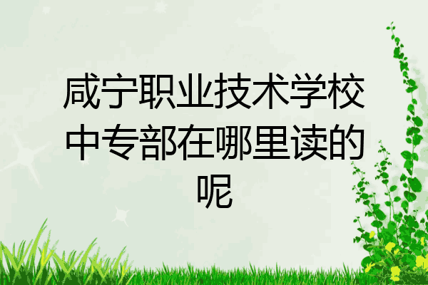 咸宁职业技术学校中专部在哪里读的呢