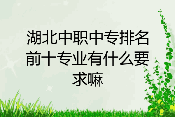 湖北中职中专排名前十专业有什么要求嘛