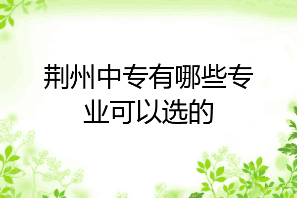 荆州中专有哪些专业可以选的