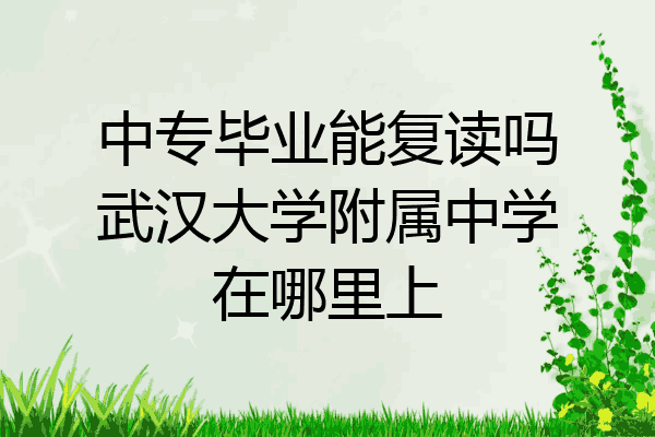 中专毕业能复读吗武汉大学附属中学在哪里上