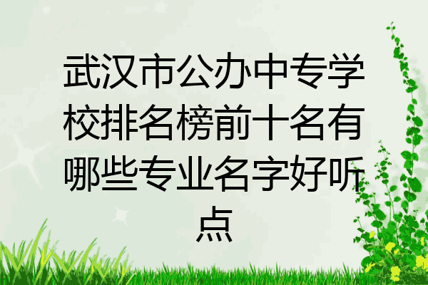 武汉市公办中专学校排名榜前十名有哪些专业名字好听点