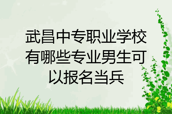 武昌中专职业学校有哪些专业男生可以报名当兵