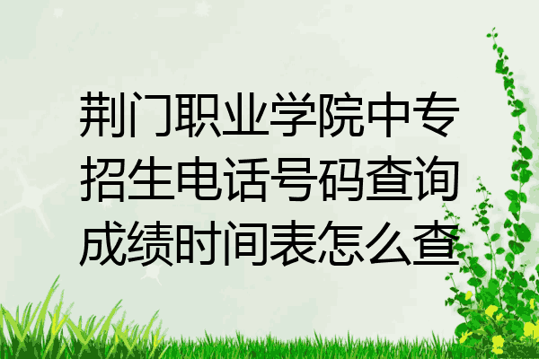 荆门职业学院中专招生电话号码查询成绩时间表怎么查