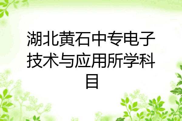 湖北黄石中专电子技术与应用所学科目