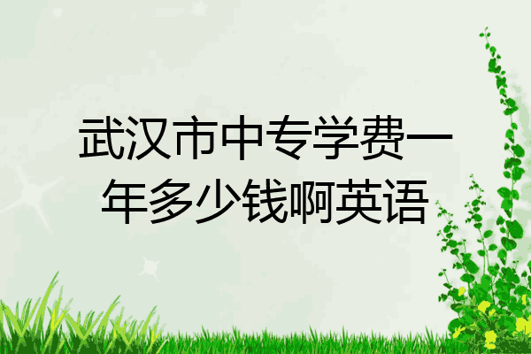 武汉市中专学费一年多少钱啊英语