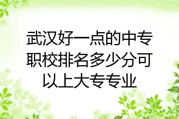 武汉好一点的中专职校排名多少分可以上大专专业