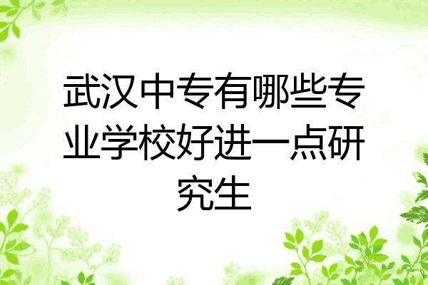 武汉中专有哪些专业学校好进一点研究生